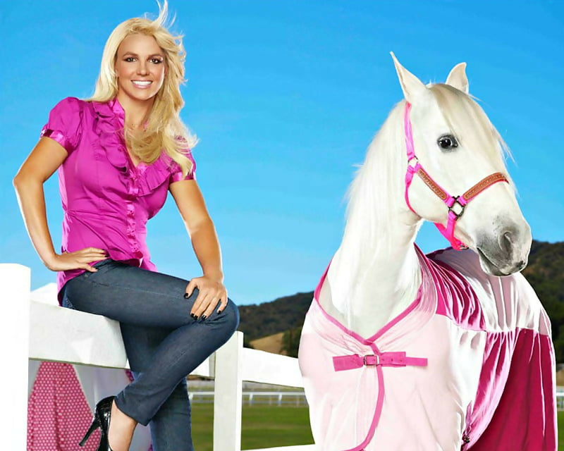 HD-wallpaper-britney-spears-cowgirl-horse-woman-singer-girl-white-pink-blue (1)